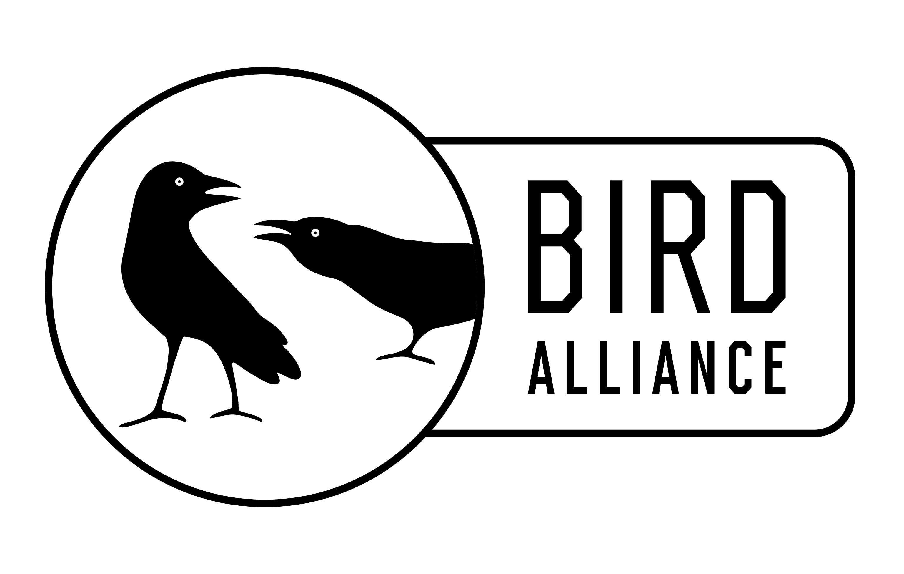 Studio Playhem Goa Bird Alliance