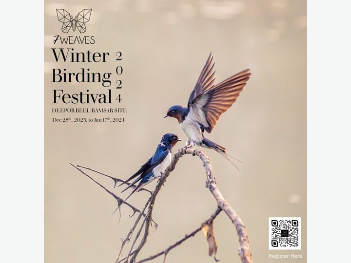 Winter Birding Festival 2024 Bird Alliance