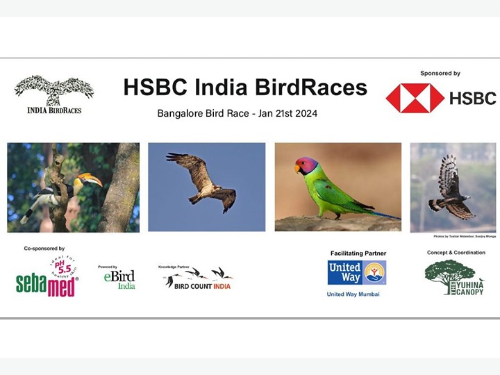 HSBC Bangalore Bird Race 2024