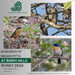 Bird Walk At Barvi Forest
