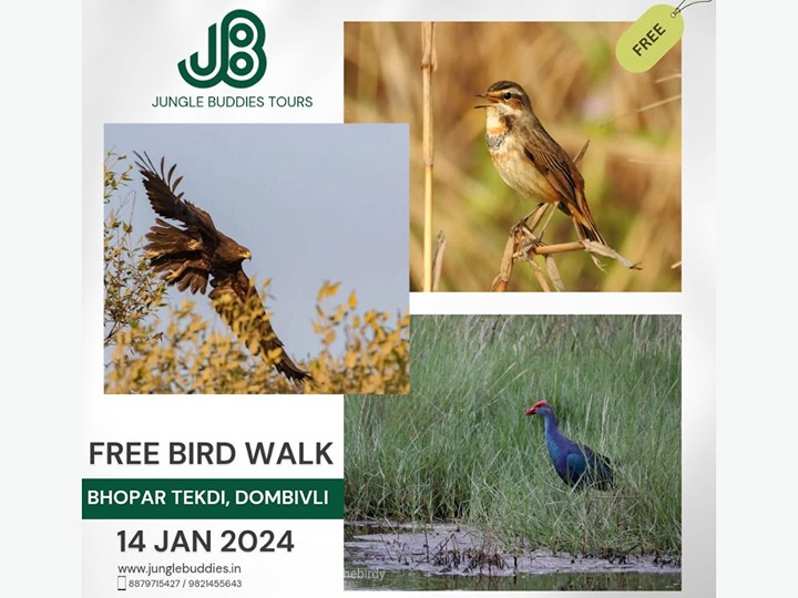 Bird Walk At Bhopar Shrublands