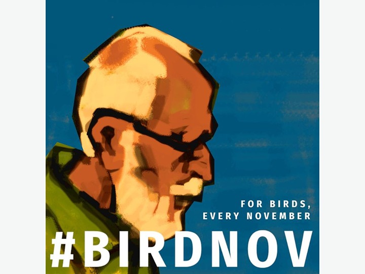 Festival: Bird November