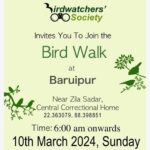 Bird Walk At Baruipur