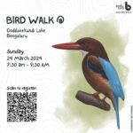 Bird Walk at Doddanekundi Lake
