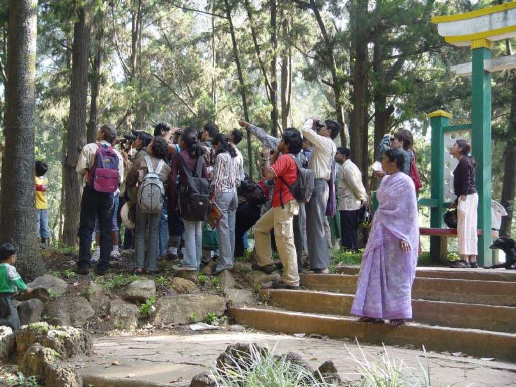 Sunday Bird Walk In Bengaluru