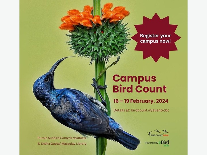 Campus Bird Count 2024 Bird Alliance