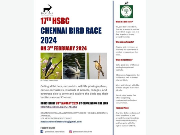 HSBC Chennai Bird Race 2024