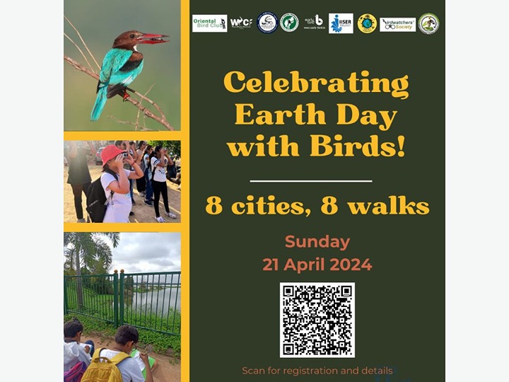 Walk: Celebrate Earth Day With Birds