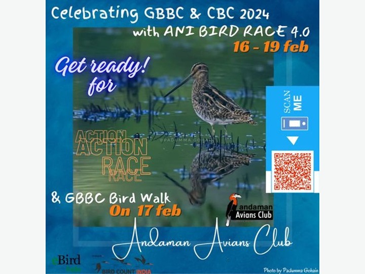 Andaman & Nicobar Islands Bird Race