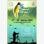 Goa Bird Festval 2024
