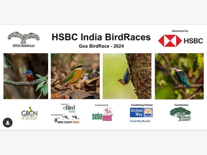 Goa Bird Race 2024