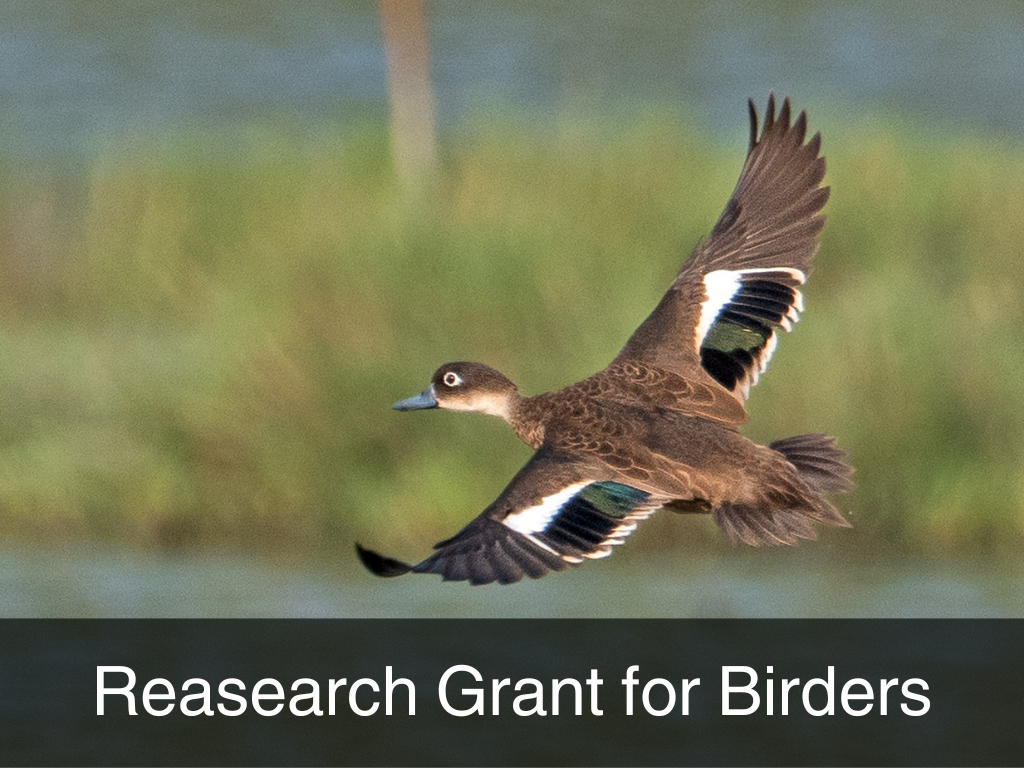 Grant for Birders to conduct research