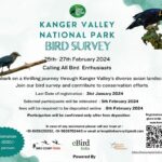 Kangar Valley Bird Survey 2024