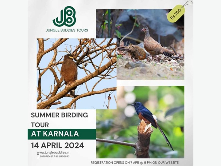 Summer Birding Tour At Karnala