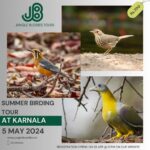 Summer Birding tour at Karnala