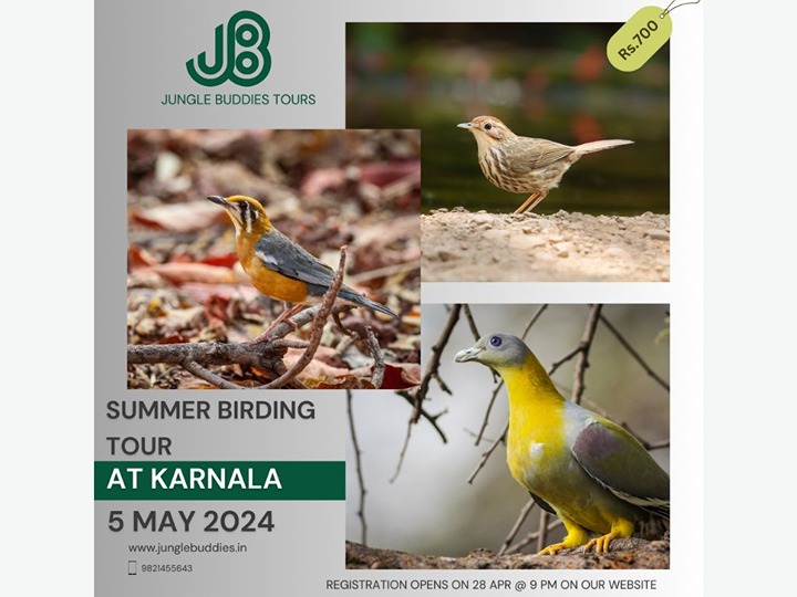 Summer Birding tour at Karnala