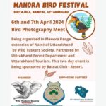 Manora Bird Festival