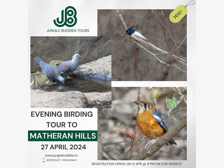 Bird Photography Tour To Matheran Hills