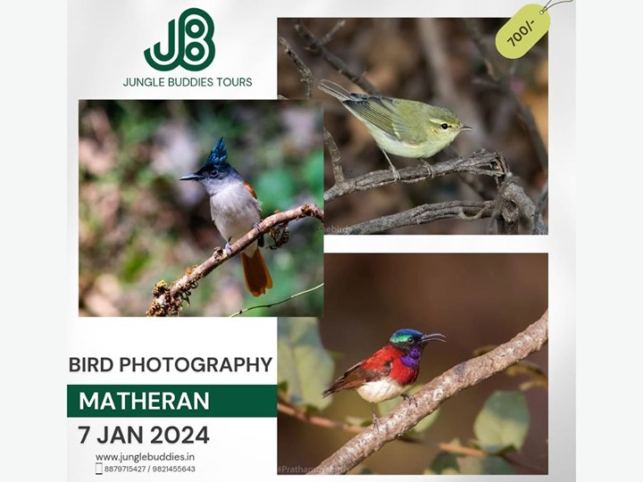 Bird Photography Tour To Matheran Hills