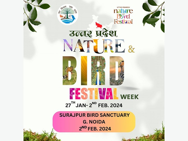Nature and Bird Festival