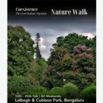 Nature Walk In Bengaluru