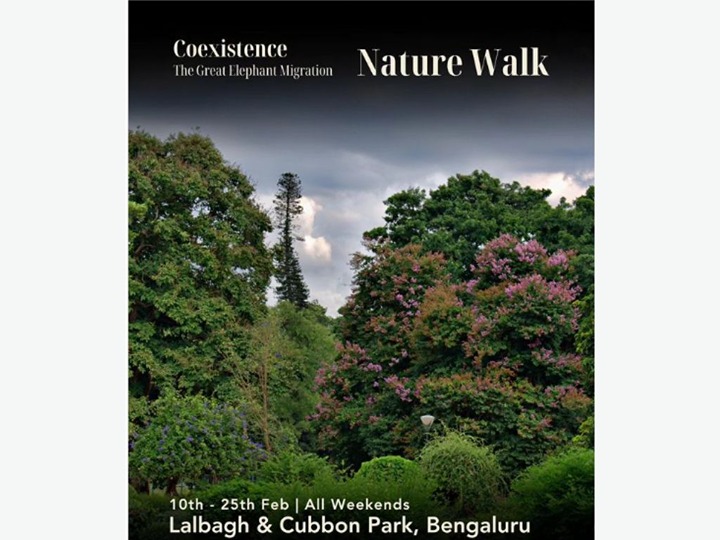 Nature Walk In Bengaluru