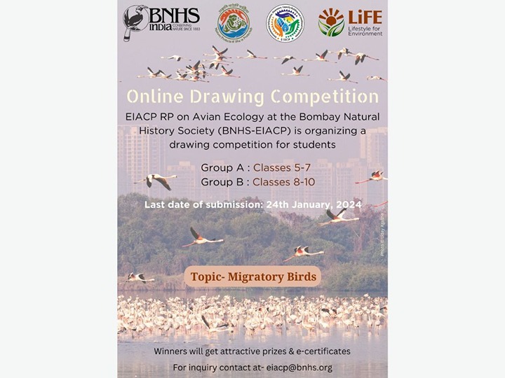 Online Drawing Competition On Migratory Birds