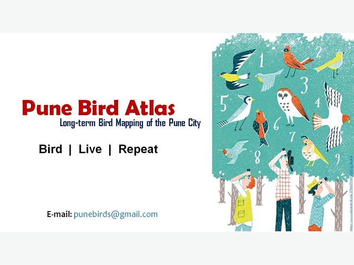 Pune City Bird Atlas Bird Alliance