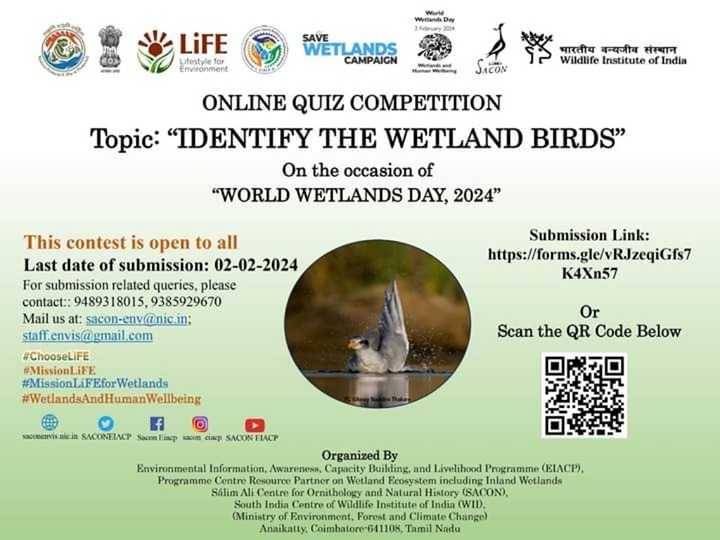 Online Quiz: Identify The Wetland Birds