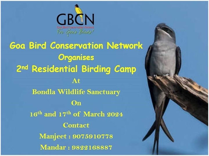 Residential Birding Camp at Goa