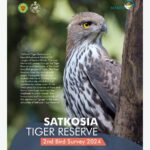 Satkosia Bird Survey 2024