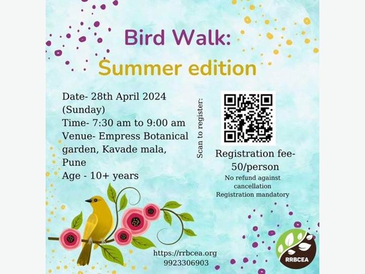 Summer Bird Walk