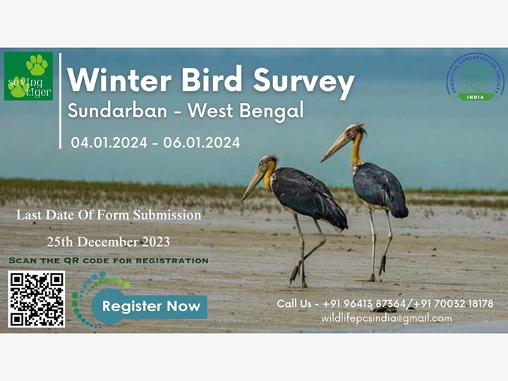 Sundarban Winter Bird Survey 2024