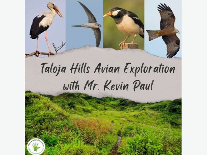 Taloja Hills Avian Exploration