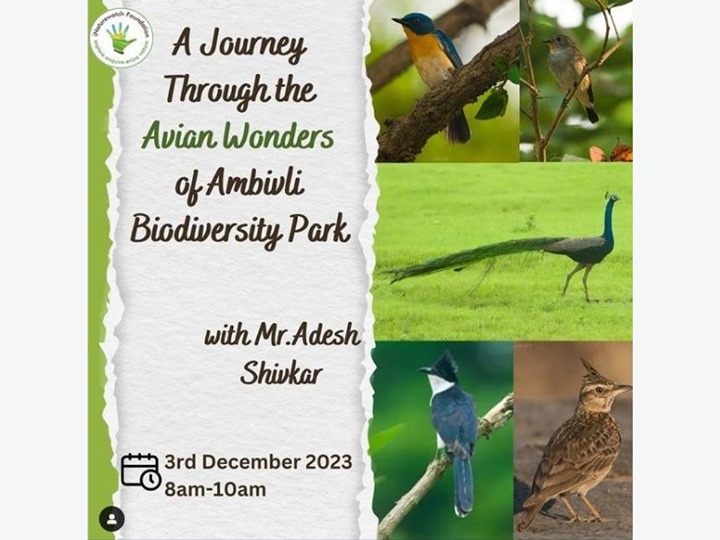 Ambivli Biodiversity Park Bird Trail