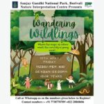 Nature Event: Wandering Wildlings