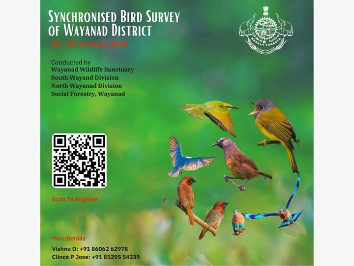 Wayanad bird survey 2024