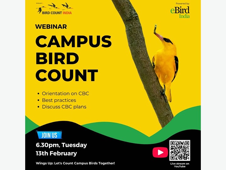 Webinar: Campus Bird Count 2024