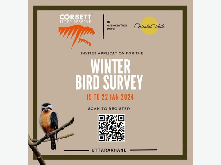 Bird Survey at Corbett National Park