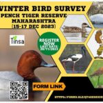 Winter Bird Survey At Pench Tiger Reserve