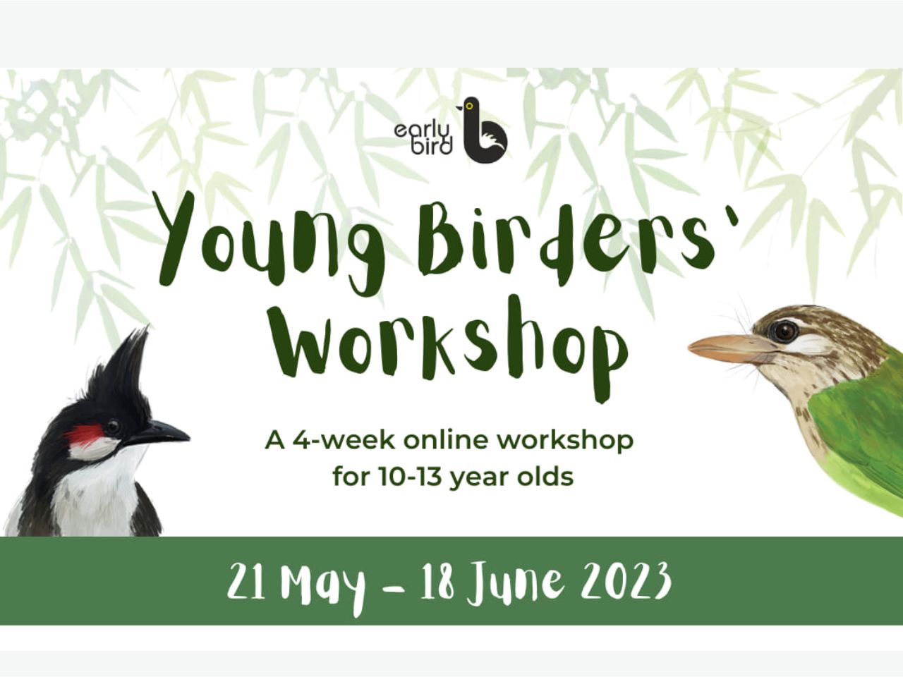 Young Birder's Workshop