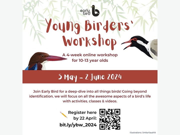 Young Birders' Workshop